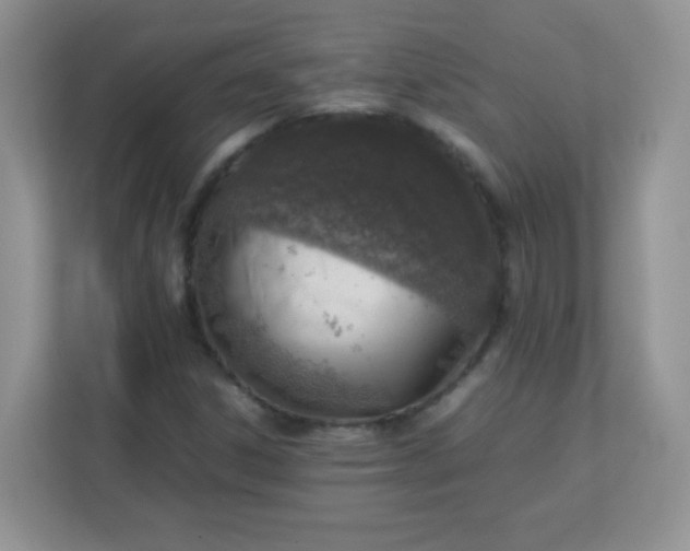 X0000113311306200909281116