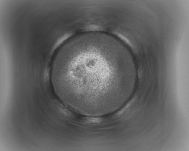 X0000113311309200909281116