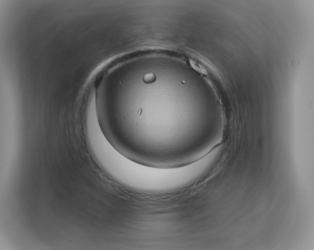 X0000113311310200909281116