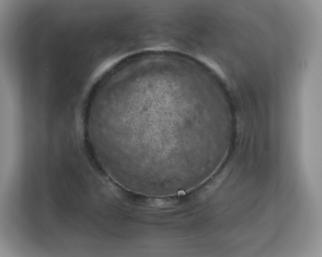 X0000113311311200909281116