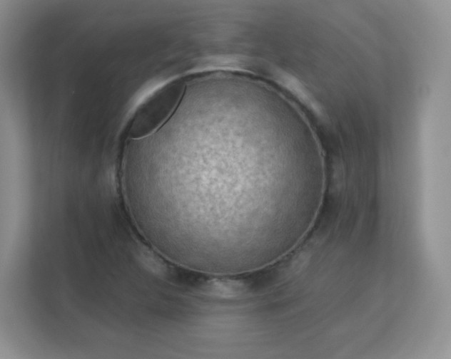 X0000113311312200909281116