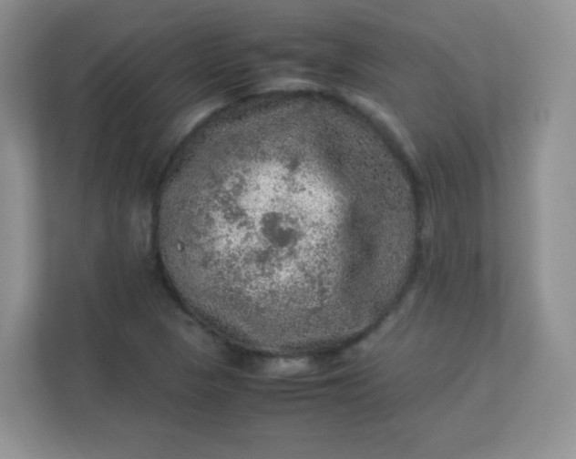 X0000113311313200909281116