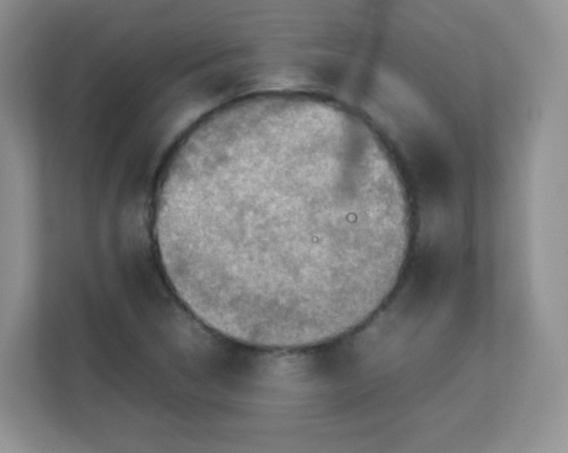 X0000113311314200909281116