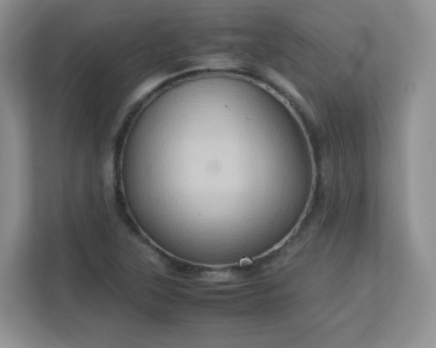 X0000113311315200909281116