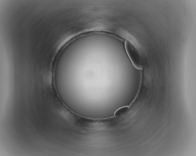 X0000113311316200909281116