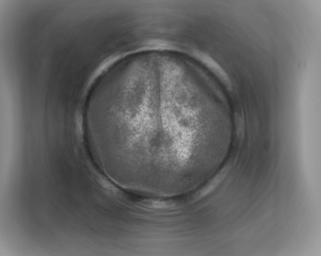 X0000113311318200909281116