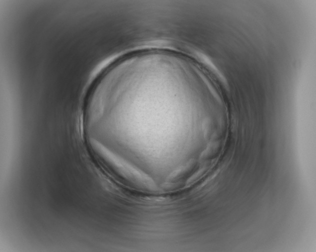 X0000113311320200909281116