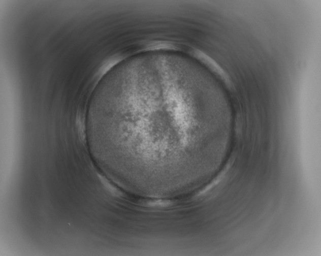 X0000113311321200909281117