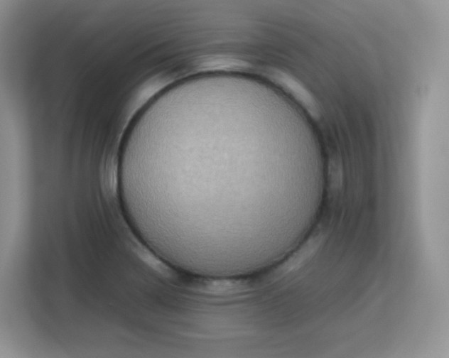 X0000113311322200909281117