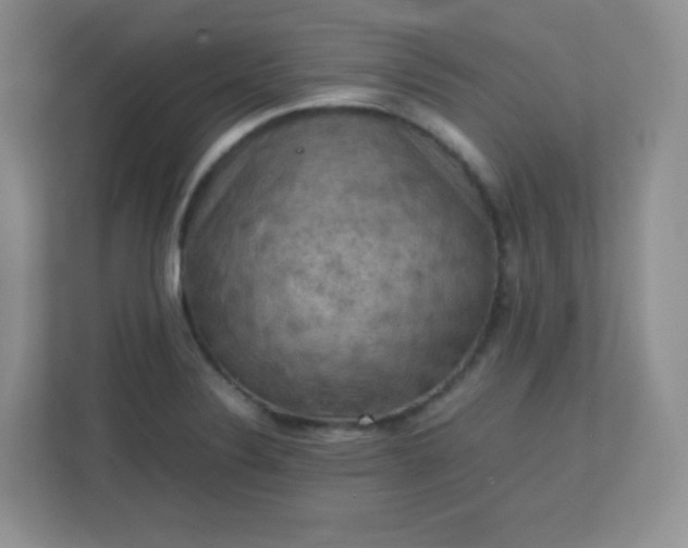 X0000113311324200909281117