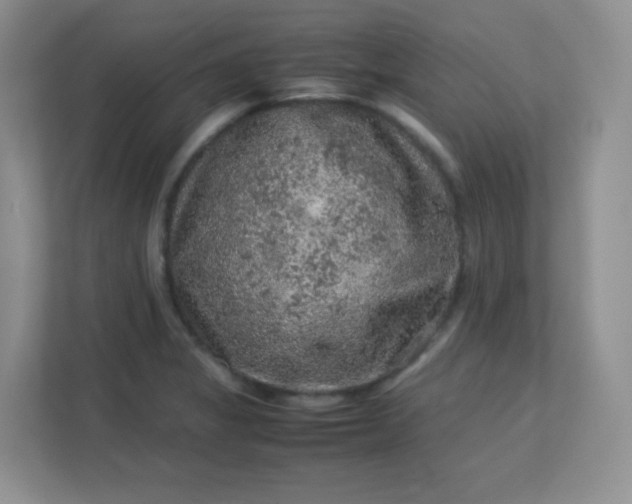 X0000113311325200909281117