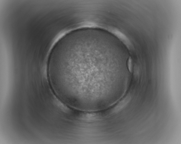 X0000113311326200909281117