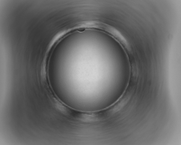 X0000113311328200909281117