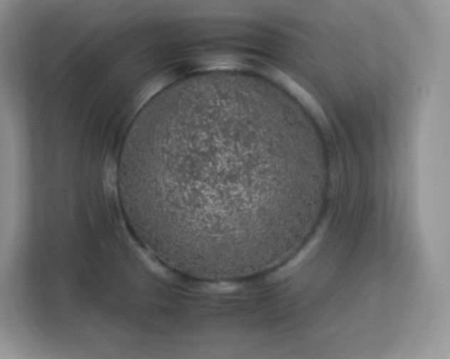 X0000113311329200909281117