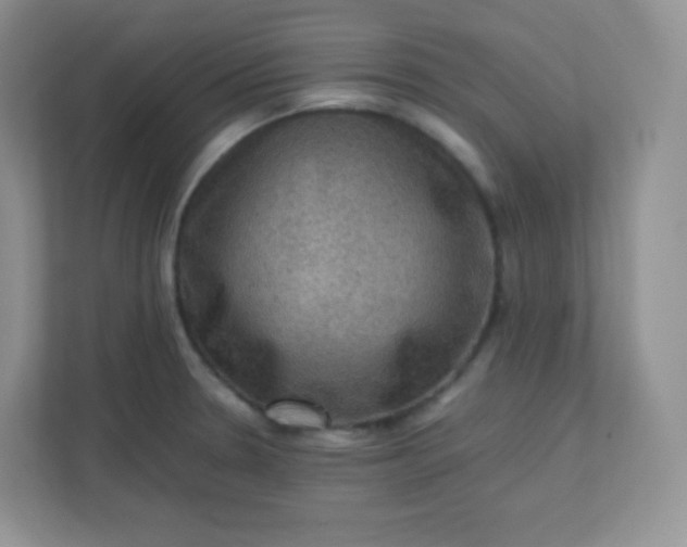 X0000113311330200909281117