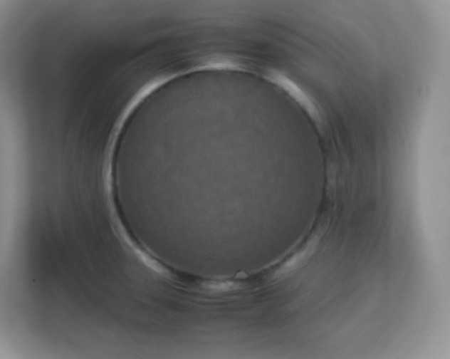 X0000113311331200909281117