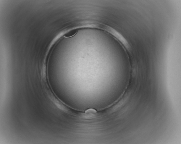 X0000113311332200909281117