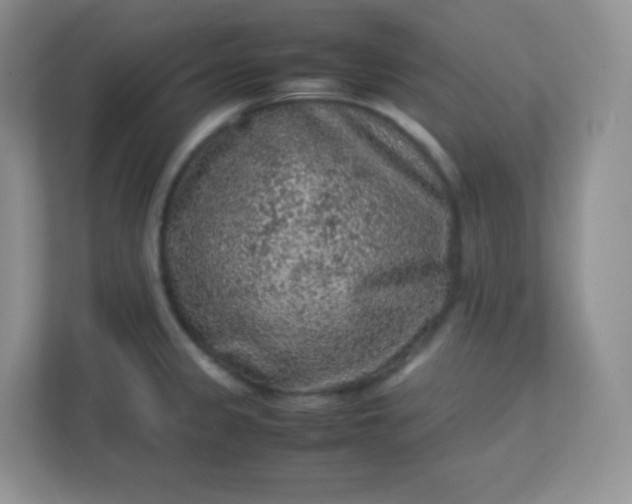 X0000113311333200909281117