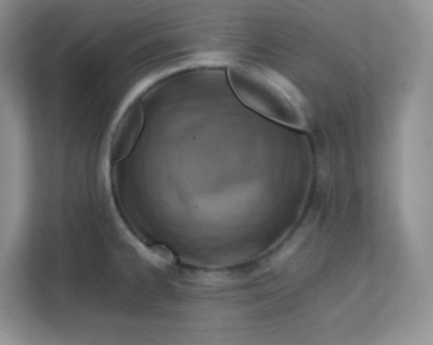 X0000113311334200909281117