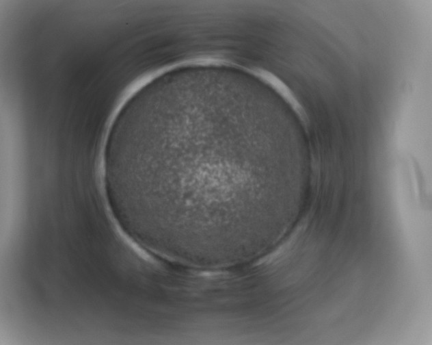 X0000113311335200909281117