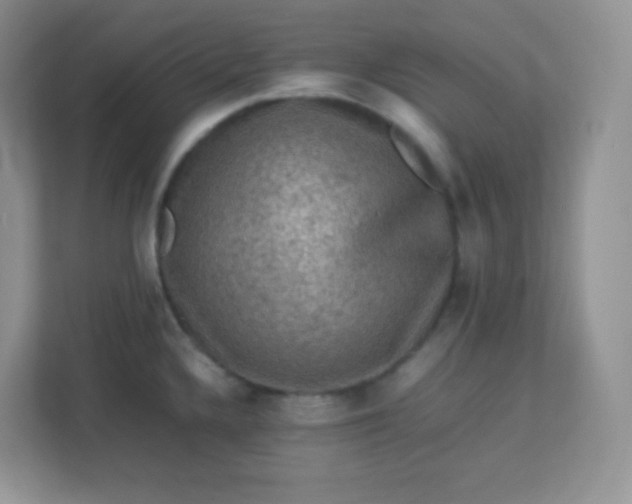 X0000113311336200909281117