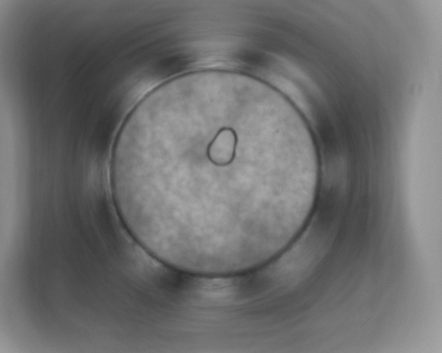 X0000113311338200909281117