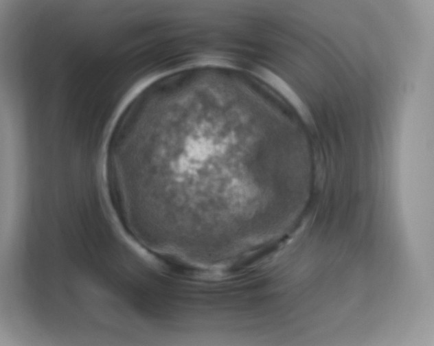 X0000113311339200909281117