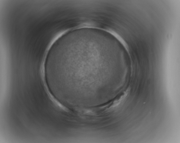 X0000113311341200909281117