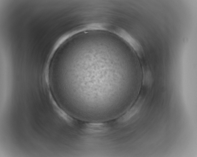 X0000113311342200909281117