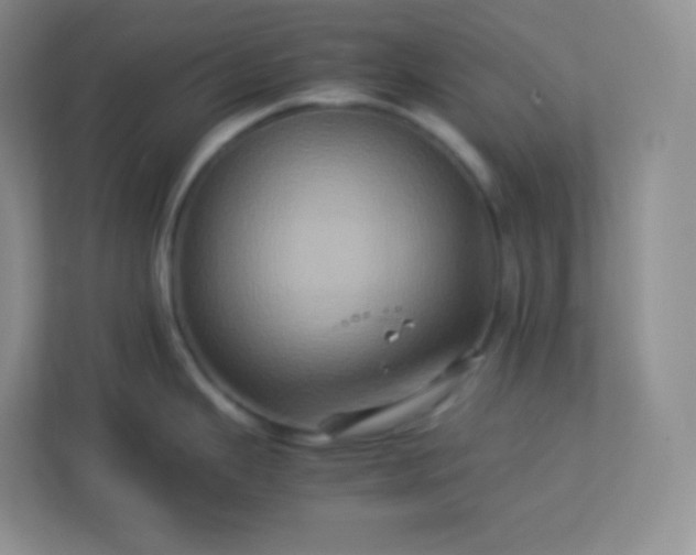 X0000113311343200909281117