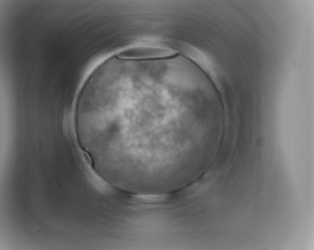 X0000113311344200909281117