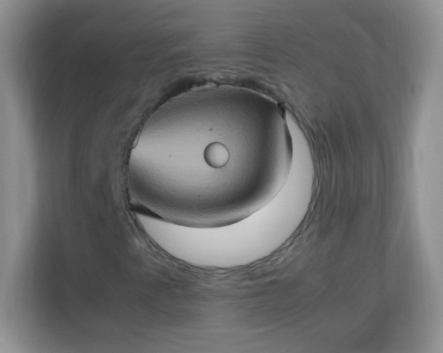 X0000113311345200909281116