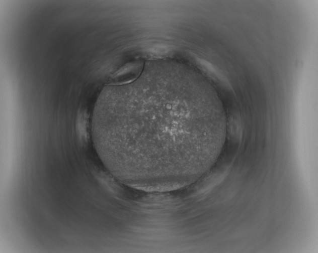 X0000113311346200909281116