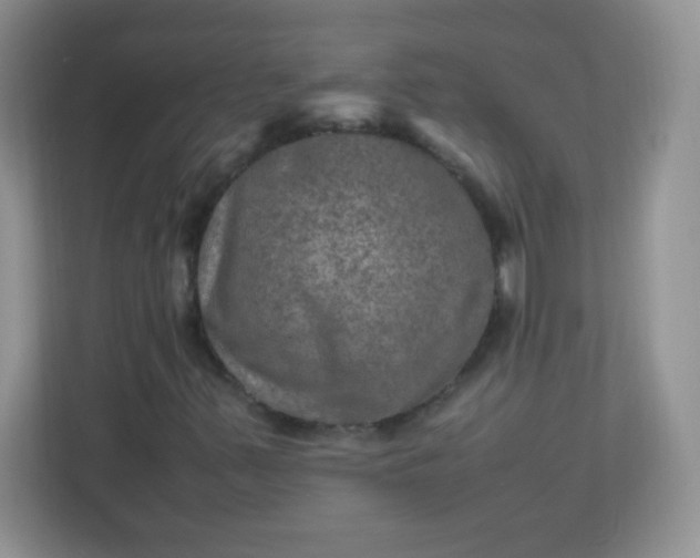 X0000113311347200909281116