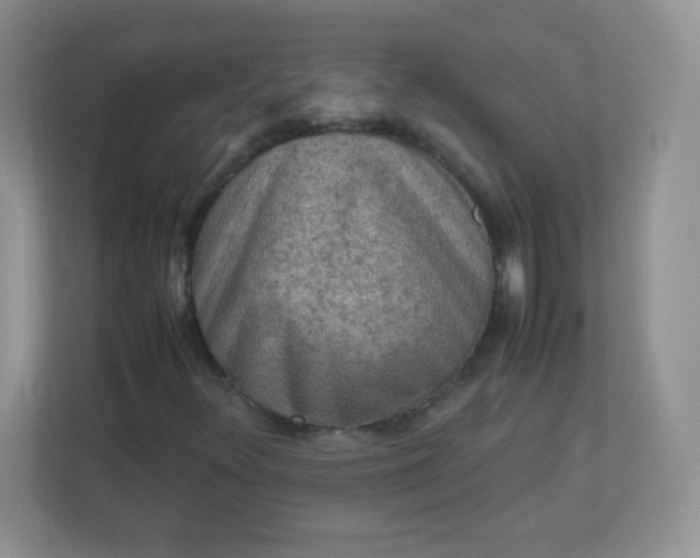 X0000113311348200909281116