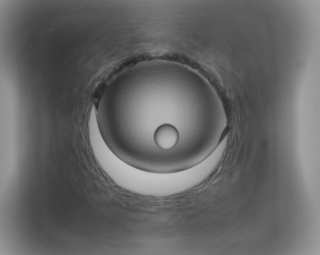 X0000113311349200909281116