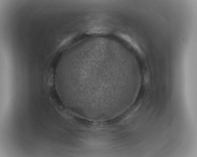 X0000113311350200909281116