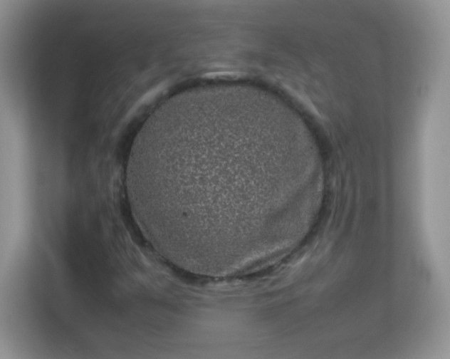 X0000113311351200909281116