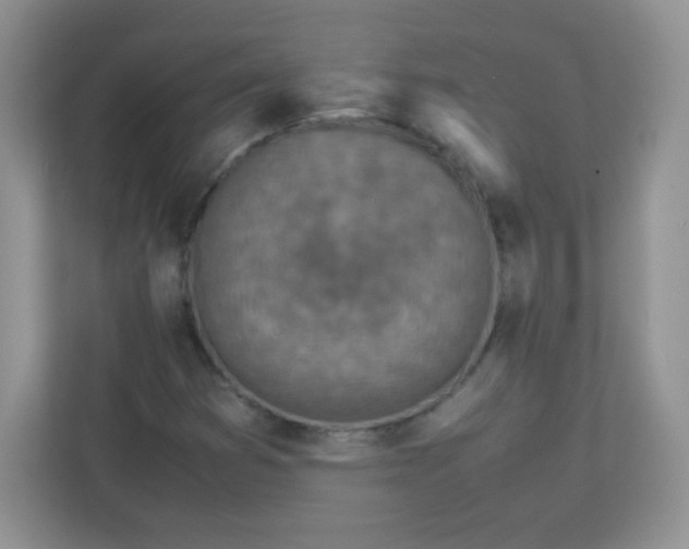 X0000113311353200909281116