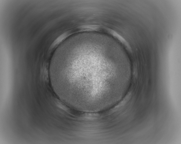 X0000113311354200909281116