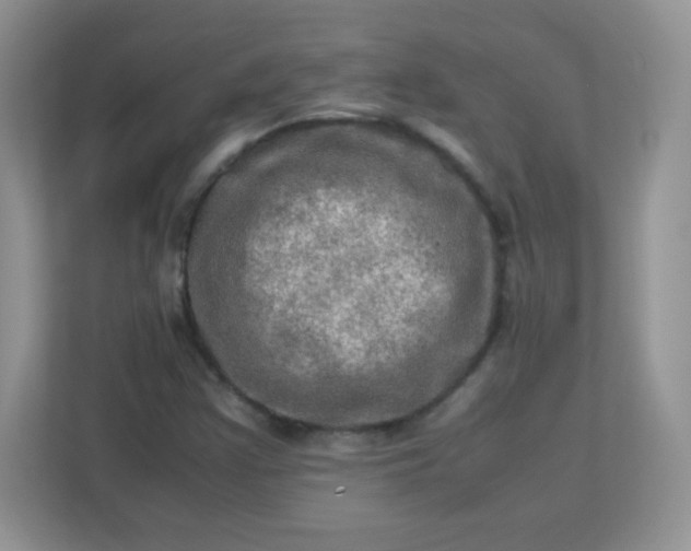 X0000113311355200909281116