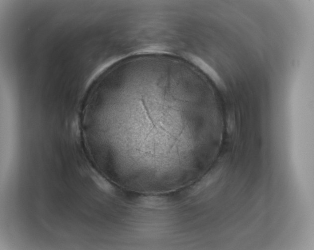 X0000113311356200909281116