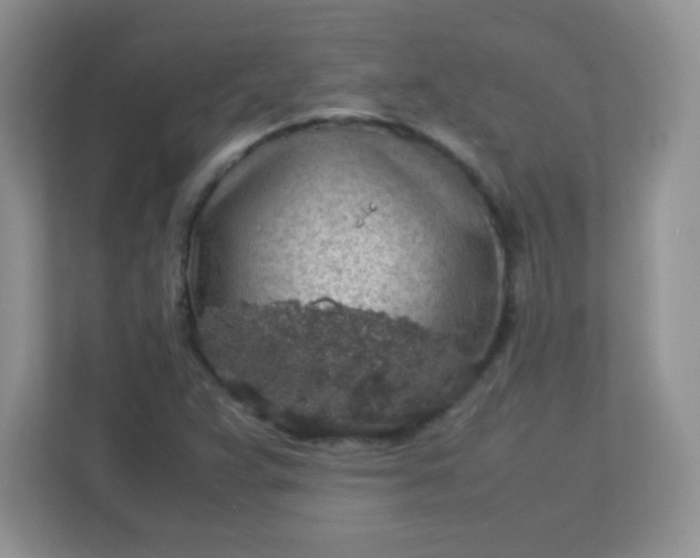 X0000113311359200909281116