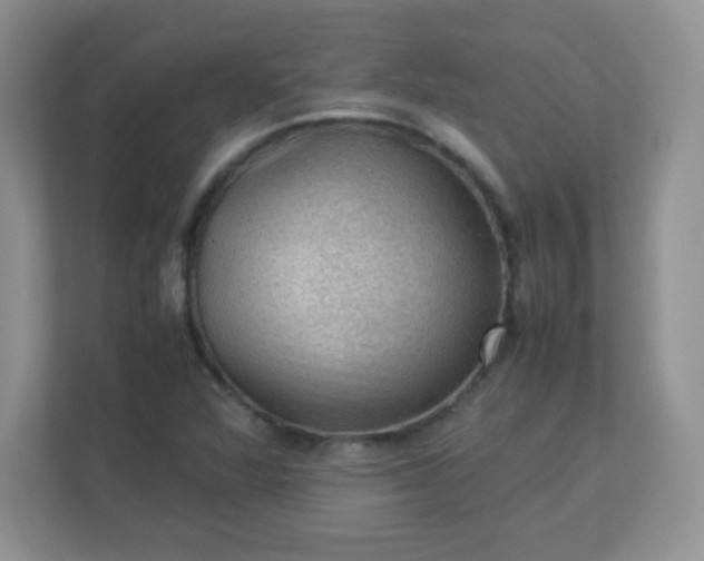 X0000113311360200909281116