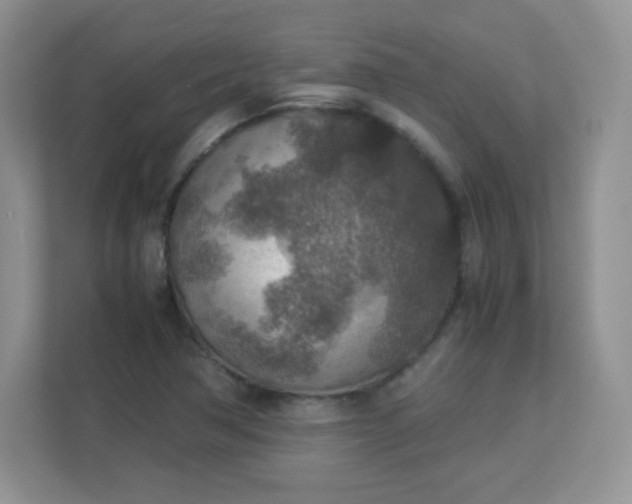 X0000113311362200909281116