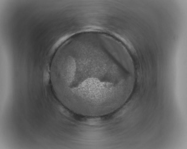 X0000113311363200909281116