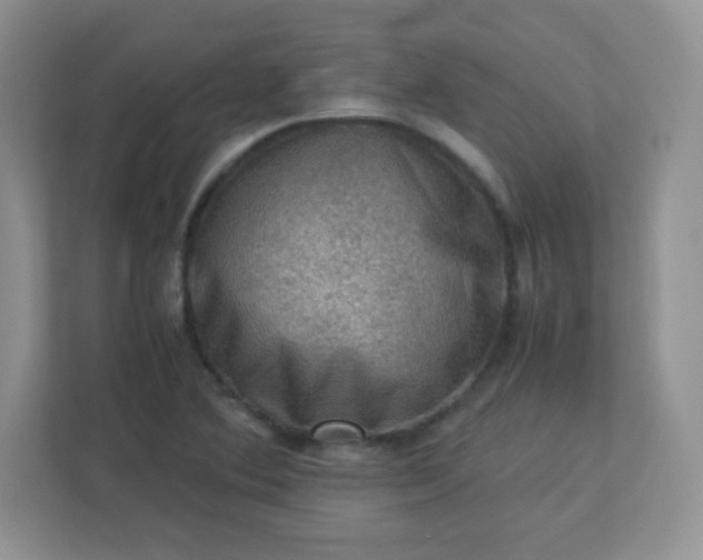 X0000113311364200909281116