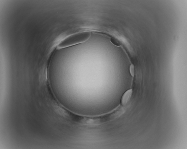 X0000113311365200909281116