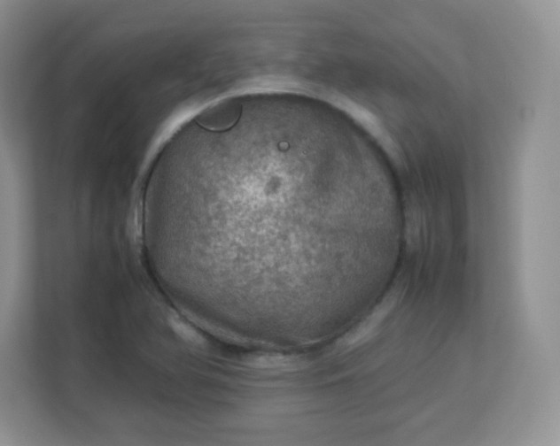 X0000113311366200909281116