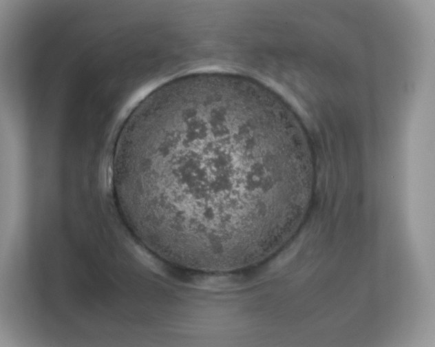 X0000113311367200909281116